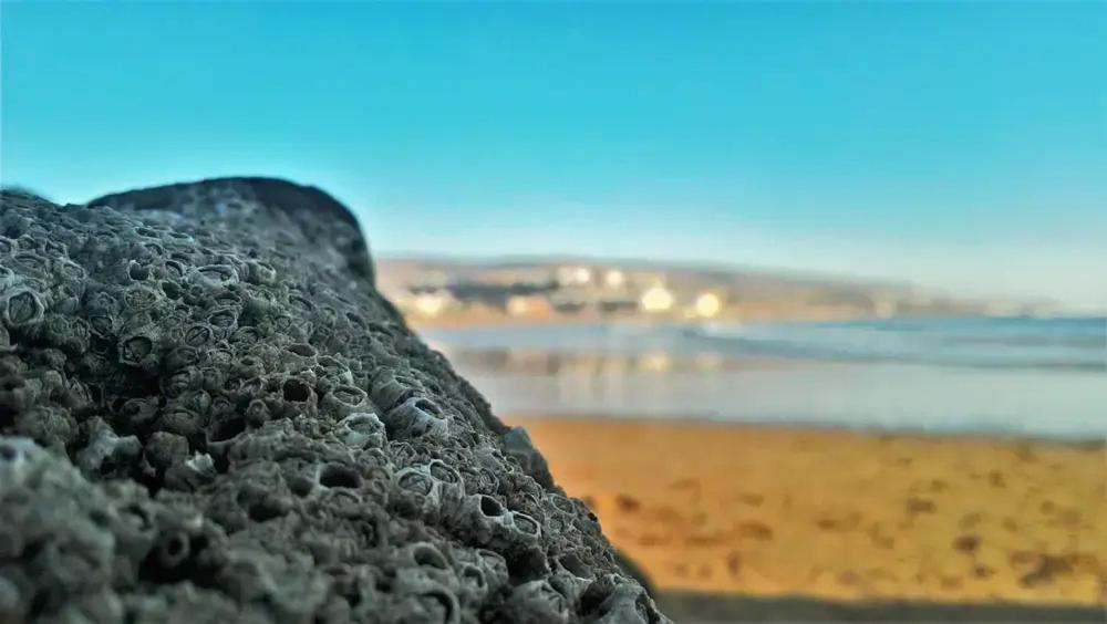 Baya House Sea View Lägenhet Agadir Exteriör bild